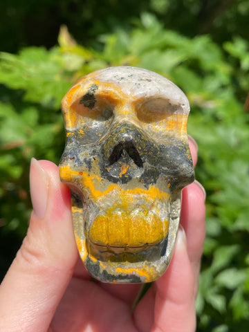 Bumblebee Jasper Skull