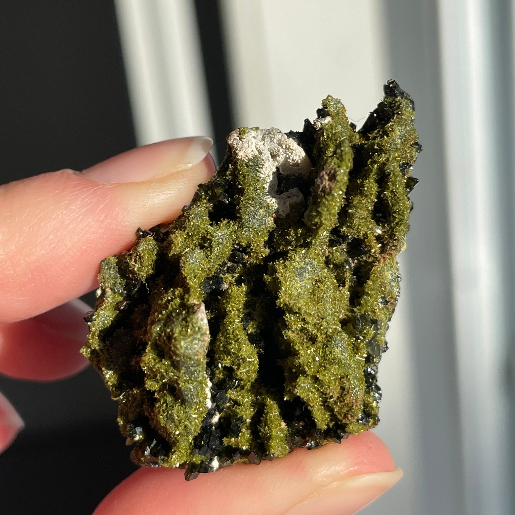Green Forest Epidote Quartz