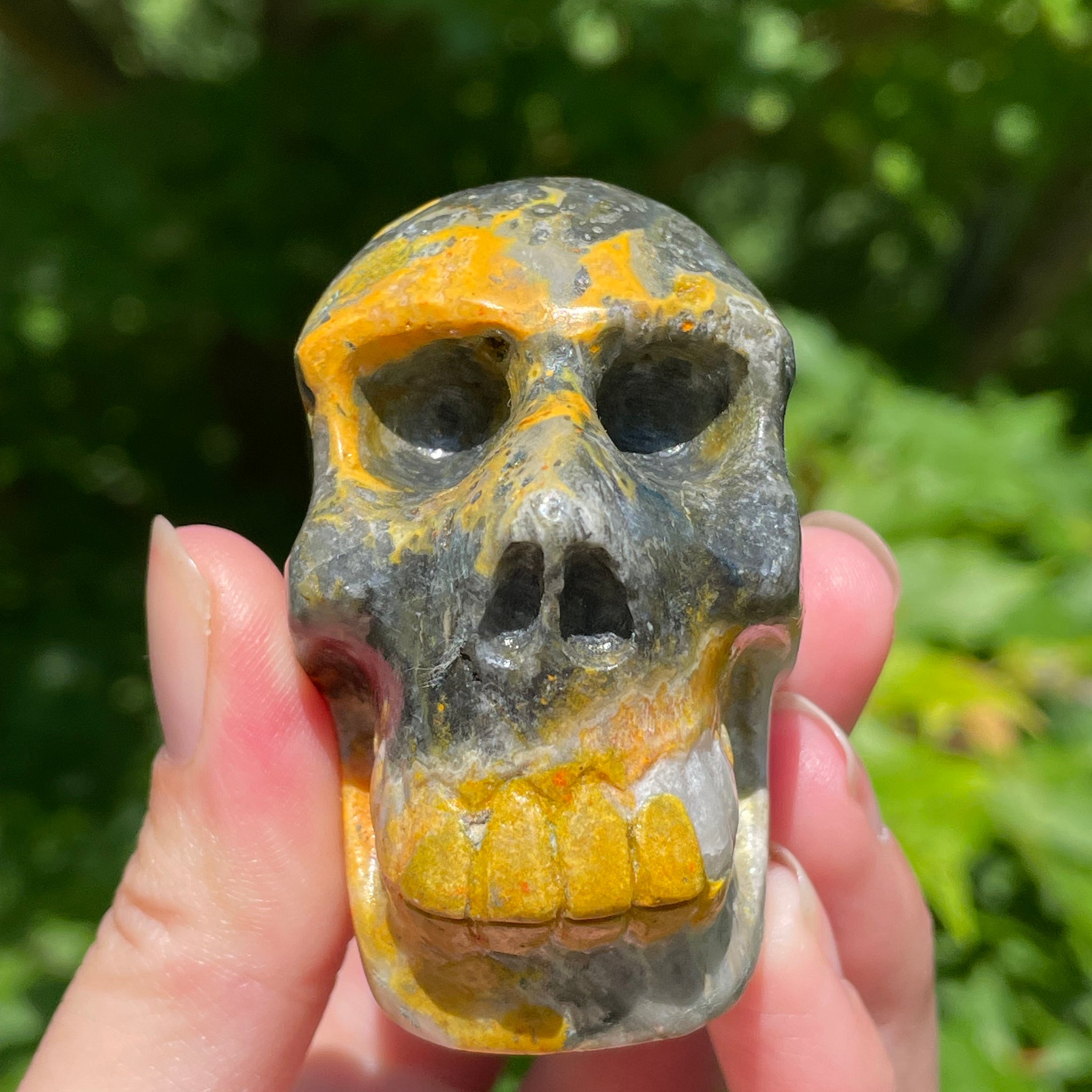 Bumblebee Jasper Skull