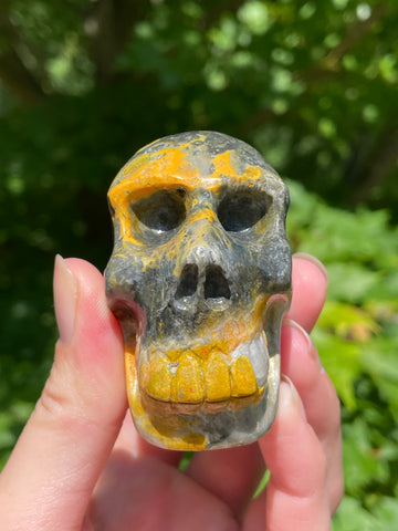 Bumblebee Jasper Skull