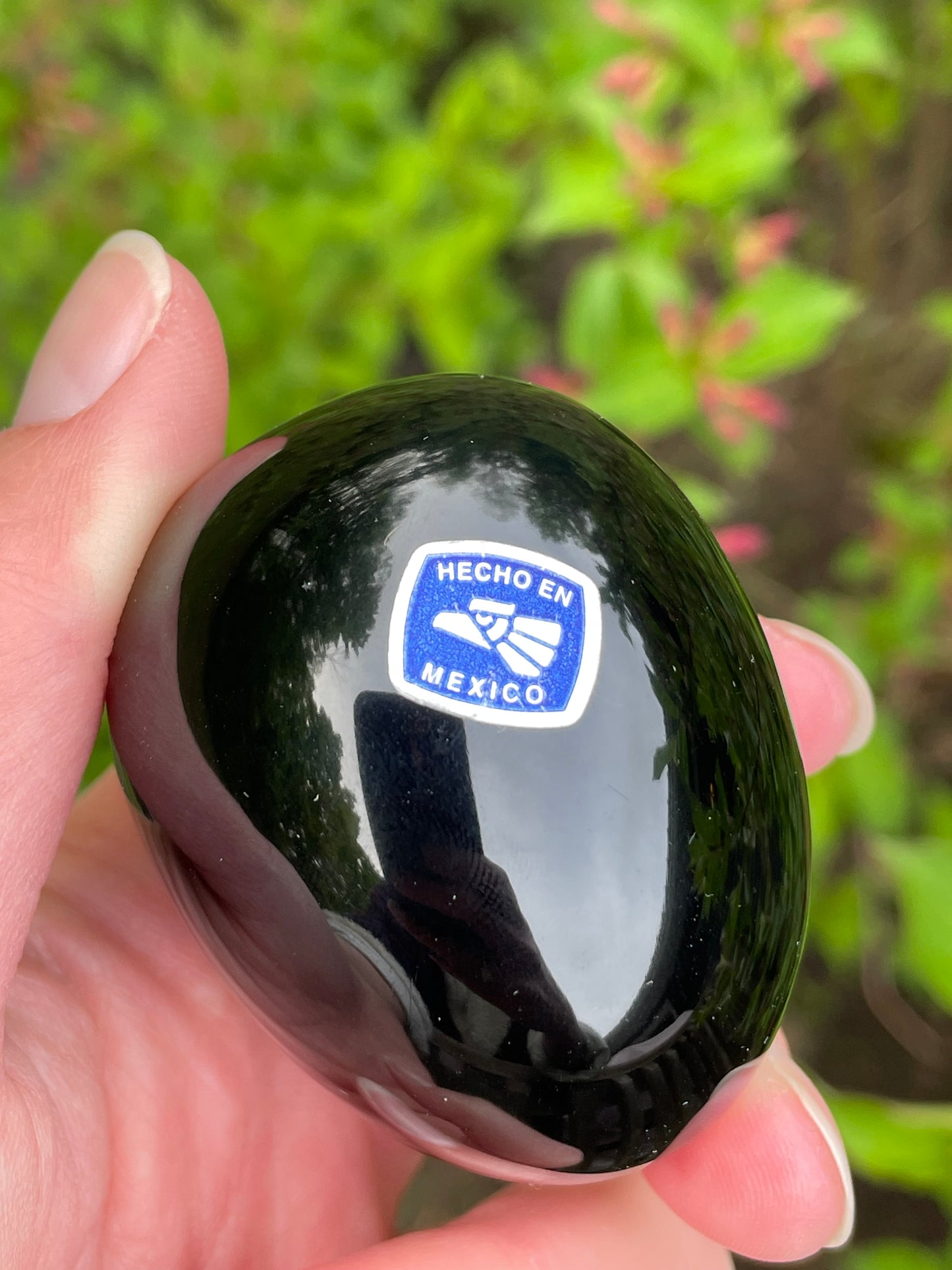 Black Obsidian Egg