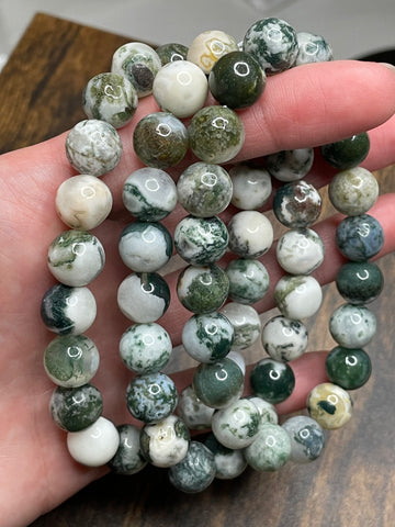 Tree Agate bracelet with 10mm beads, featuring the calming and earthly tones of tree agate crystals. The bracelet combines natural beauty with a sense of grounding, making it a stylish and soothing accessory.