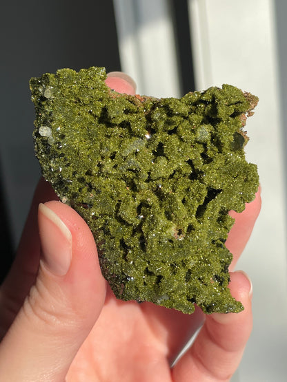 Green Forest Epidote Quartz