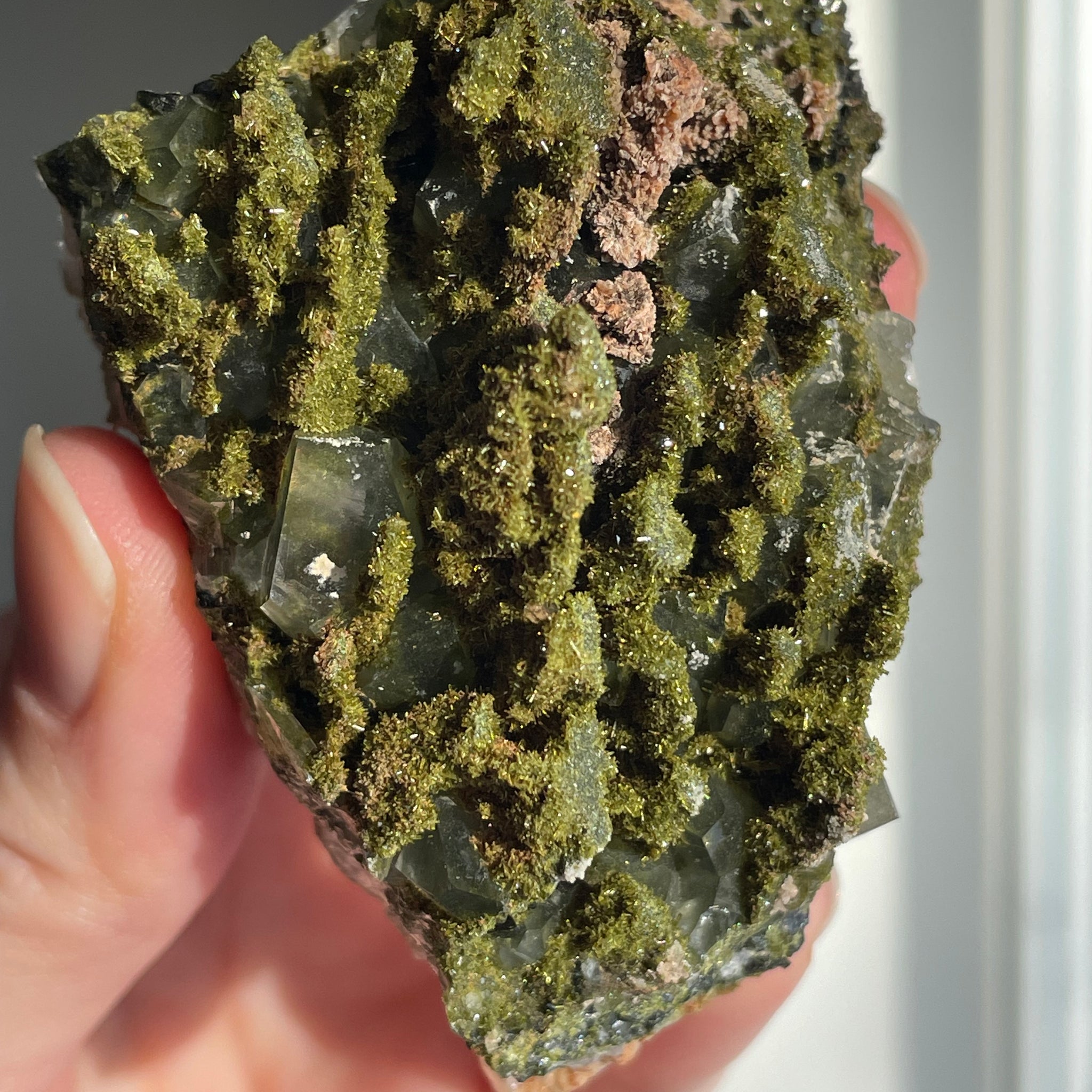Green Forest Epidote Quartz