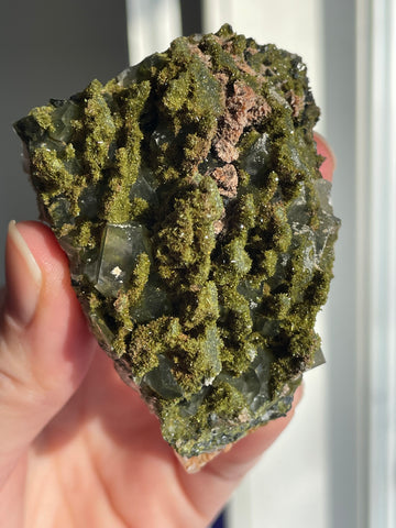 Green Forest Epidote Quartz