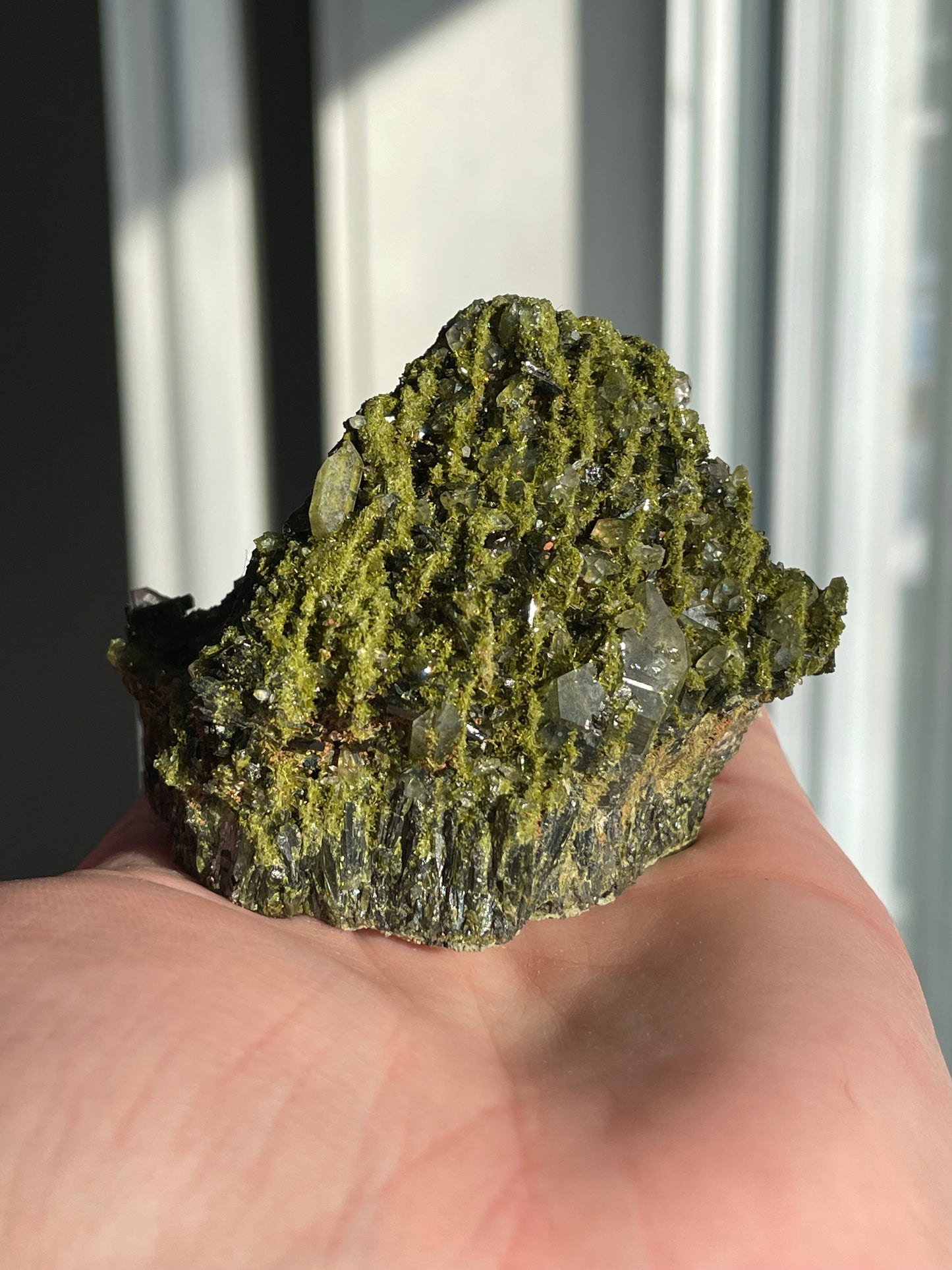 Green Forest Epidote Quartz