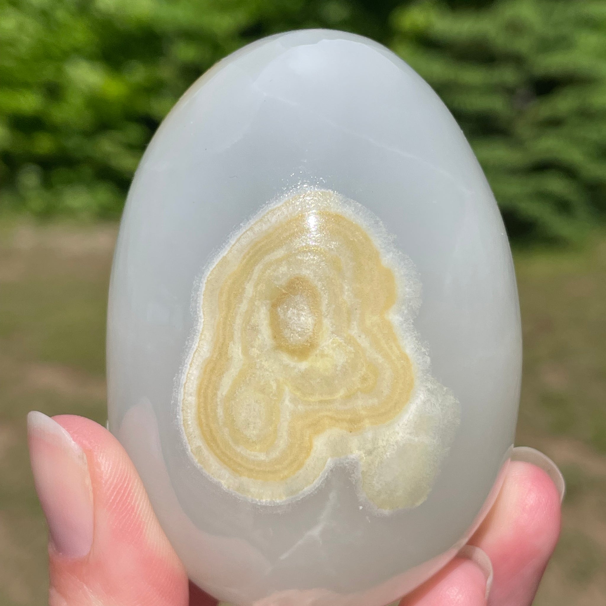 Mexican Onyx Egg