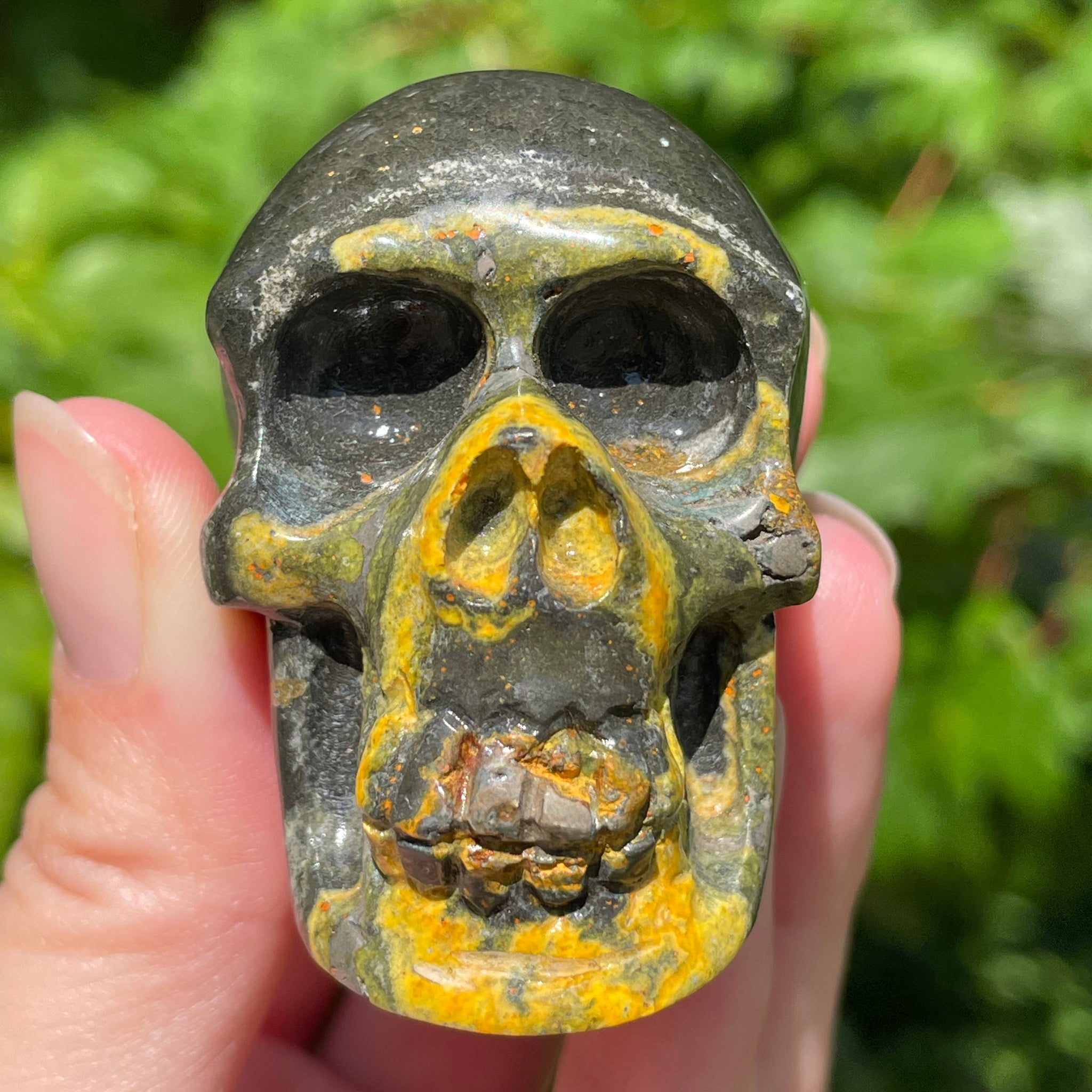 Bumblebee Jasper Skull