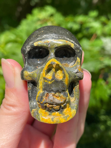 Bumblebee Jasper Skull