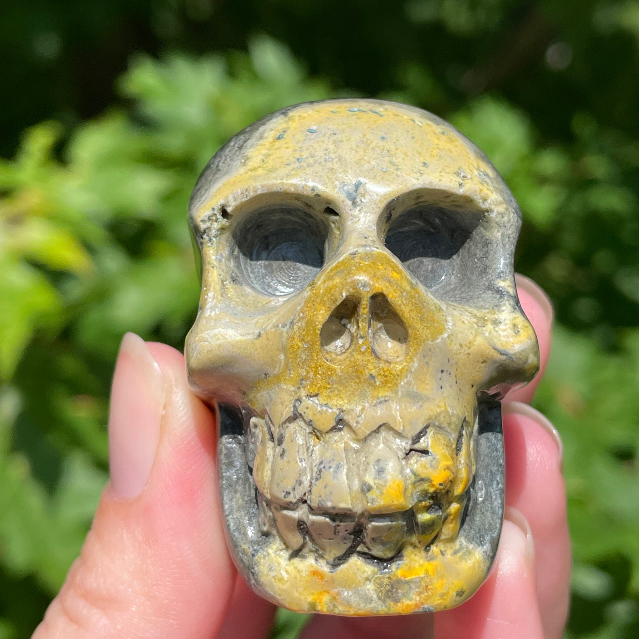 Bumblebee Jasper Skull