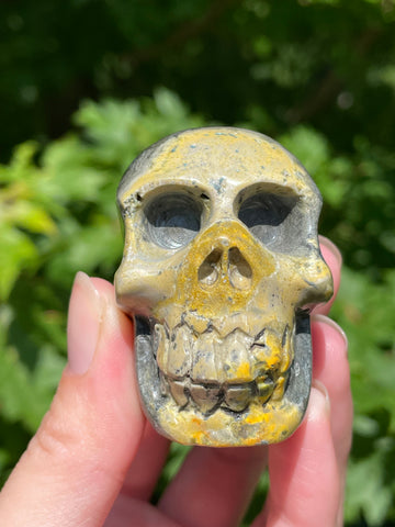 Bumblebee Jasper Skull