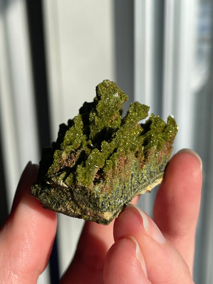 Green Forest Epidote Quartz