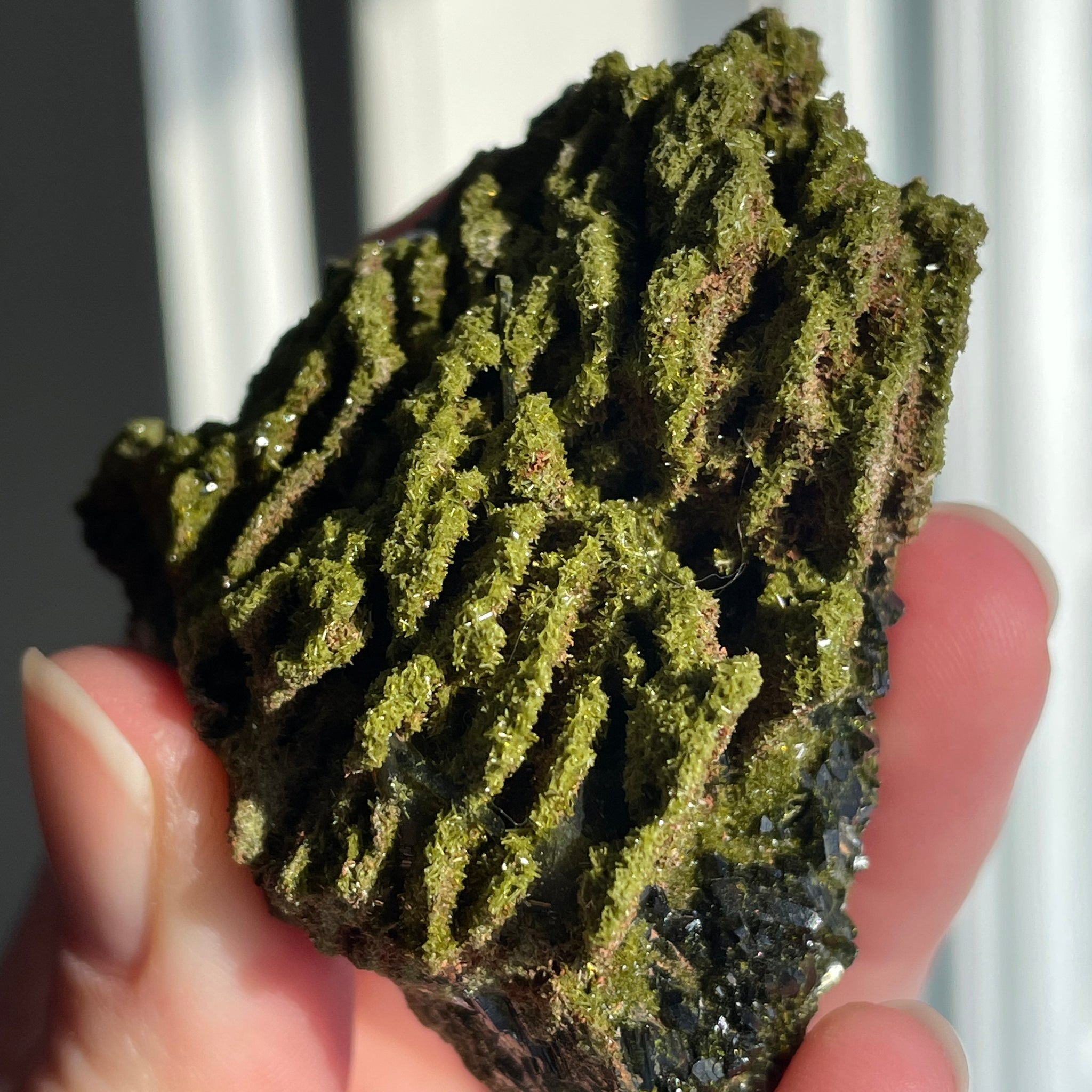 Green Forest Epidote Quartz