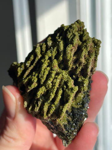Green Forest Epidote Quartz