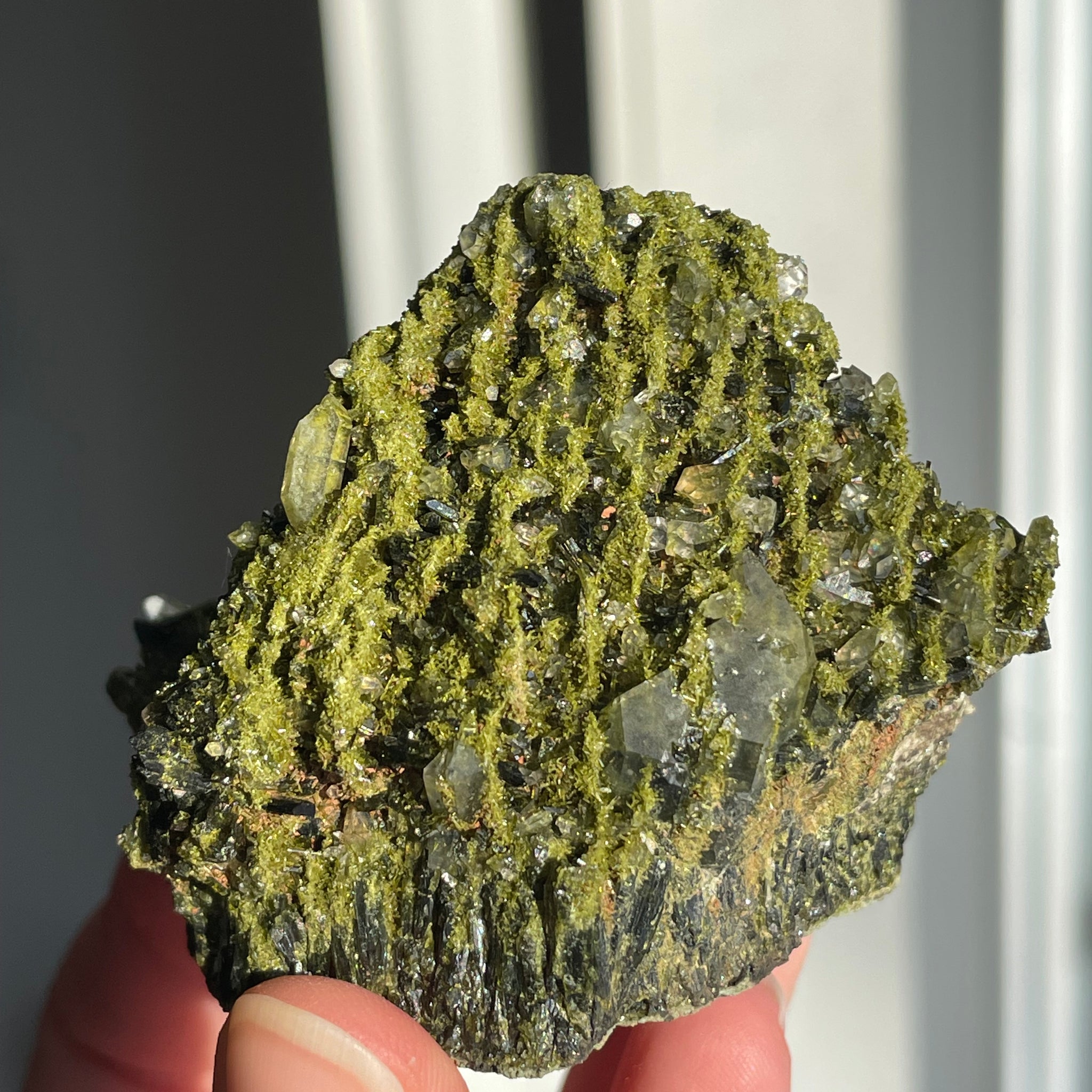 Green Forest Epidote Quartz