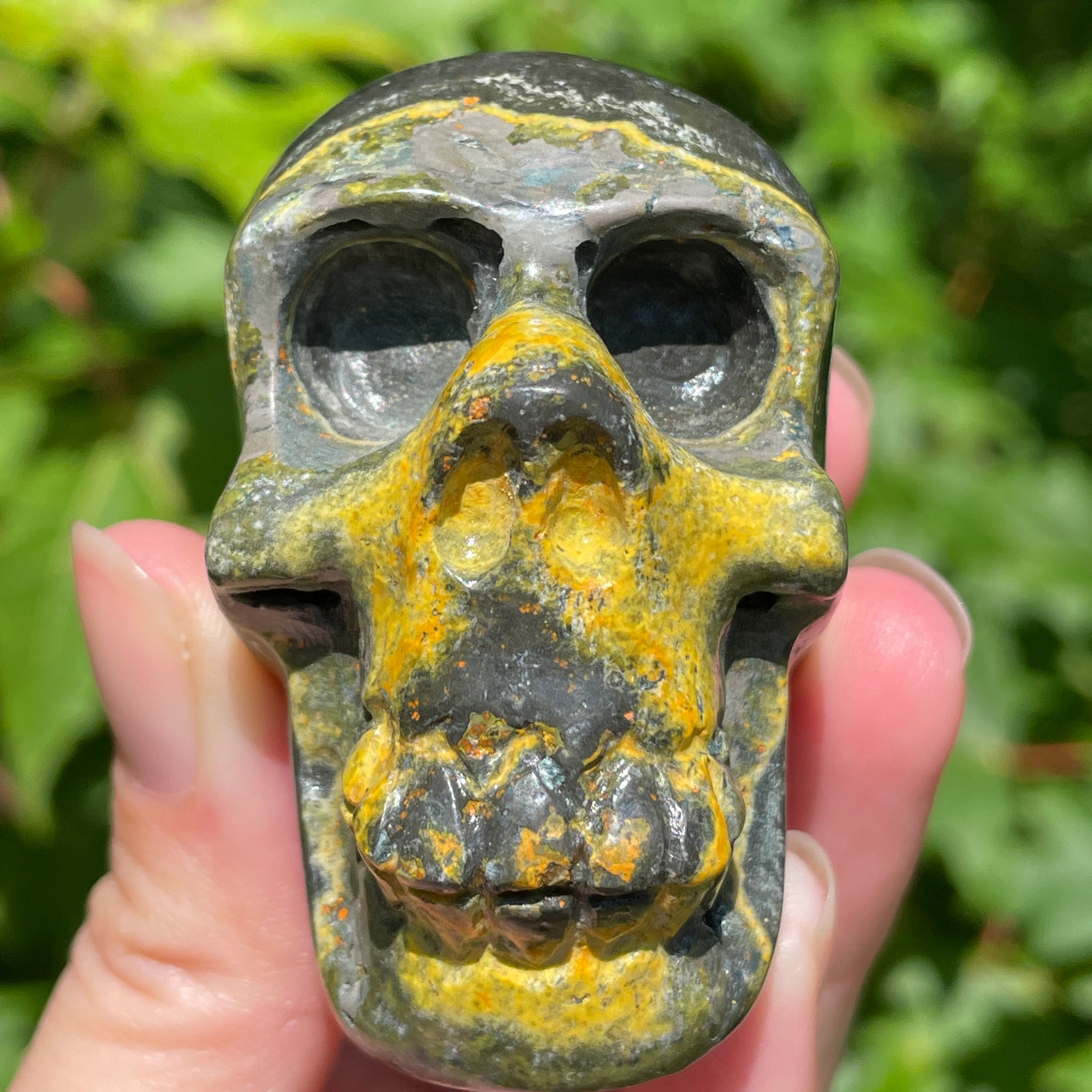 Bumblebee Jasper Skull