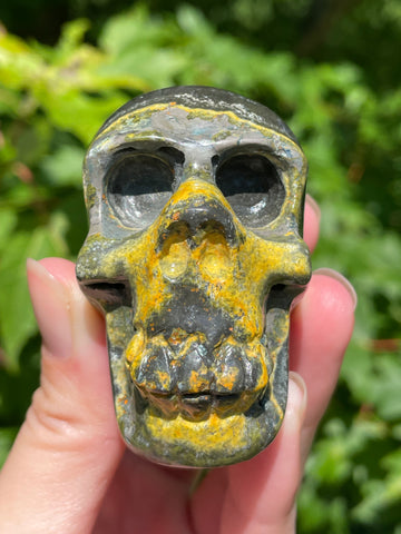 Bumblebee Jasper Skull