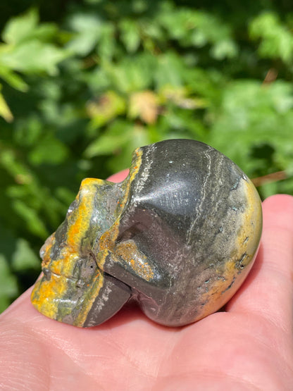 Bumblebee Jasper Skull