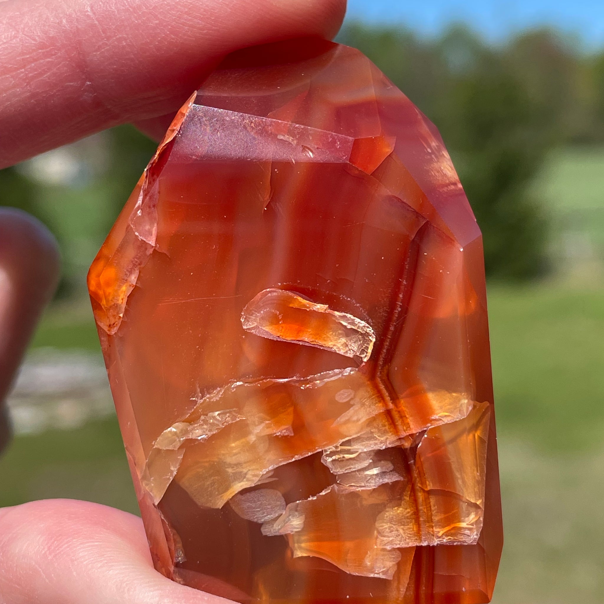 Carnelian Freeform