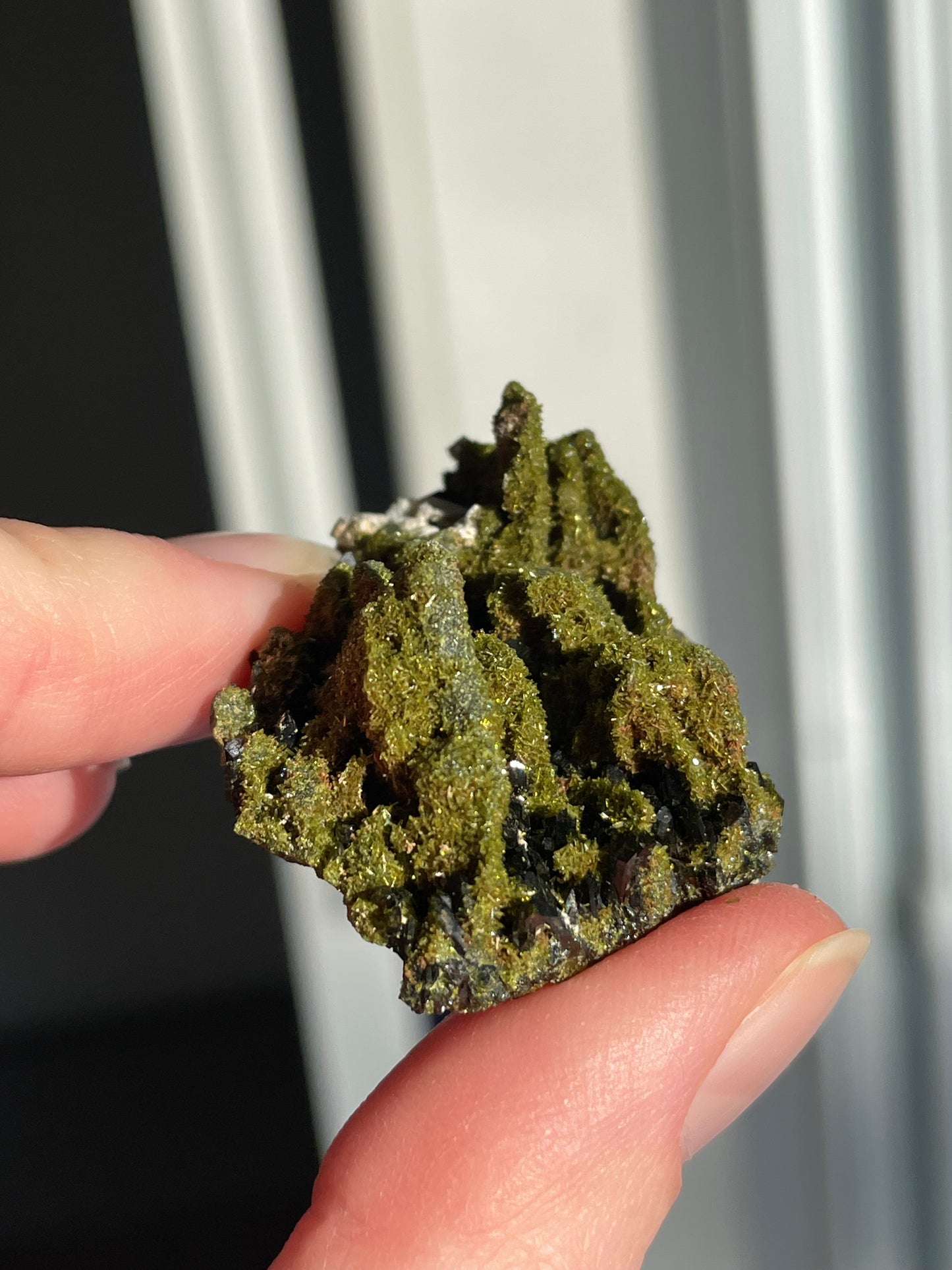 Green Forest Epidote Quartz