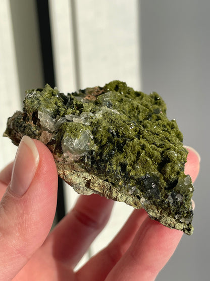 Green Forest Epidote Quartz