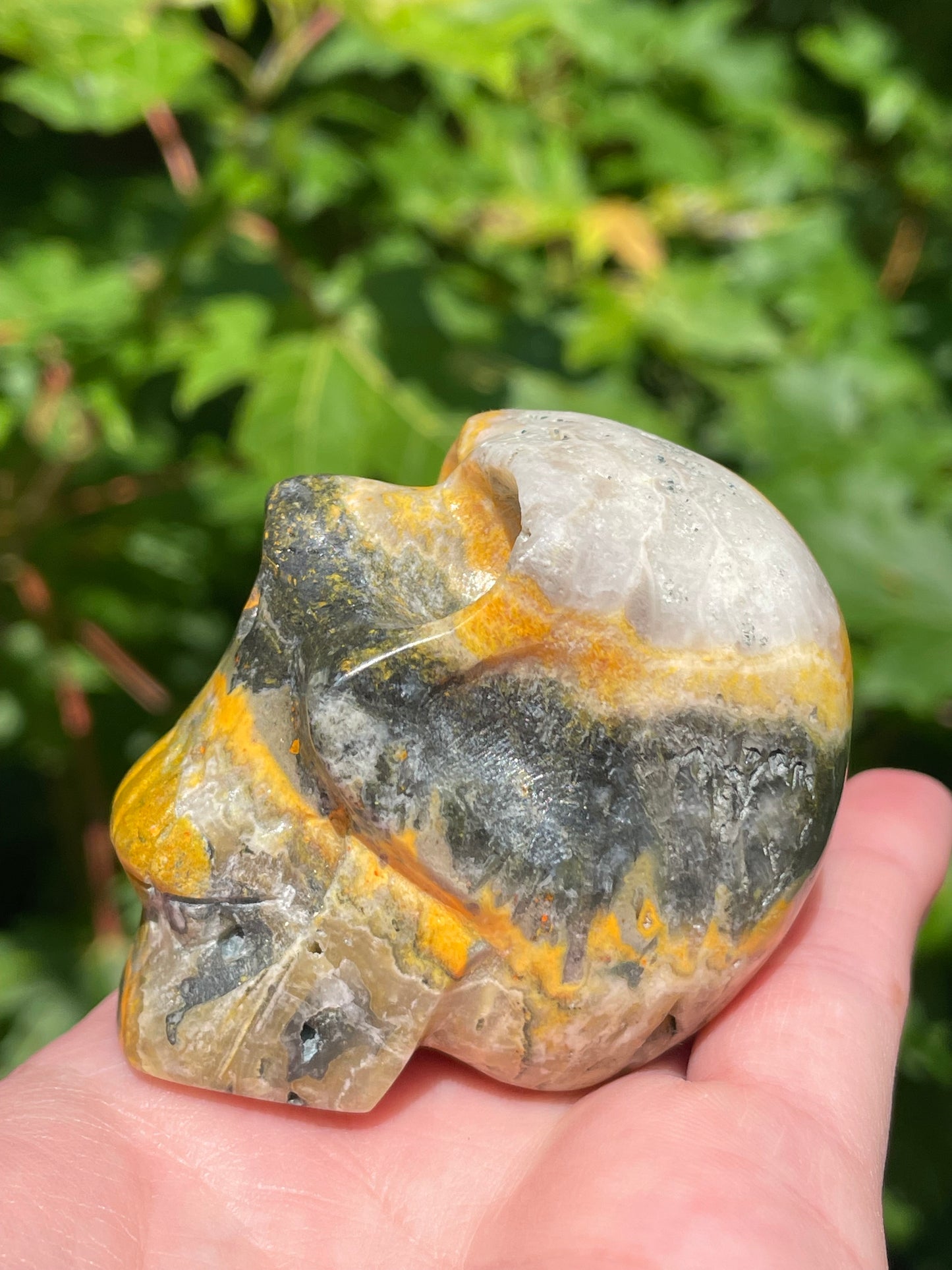 Bumblebee Jasper Skull