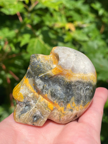Bumblebee Jasper Skull