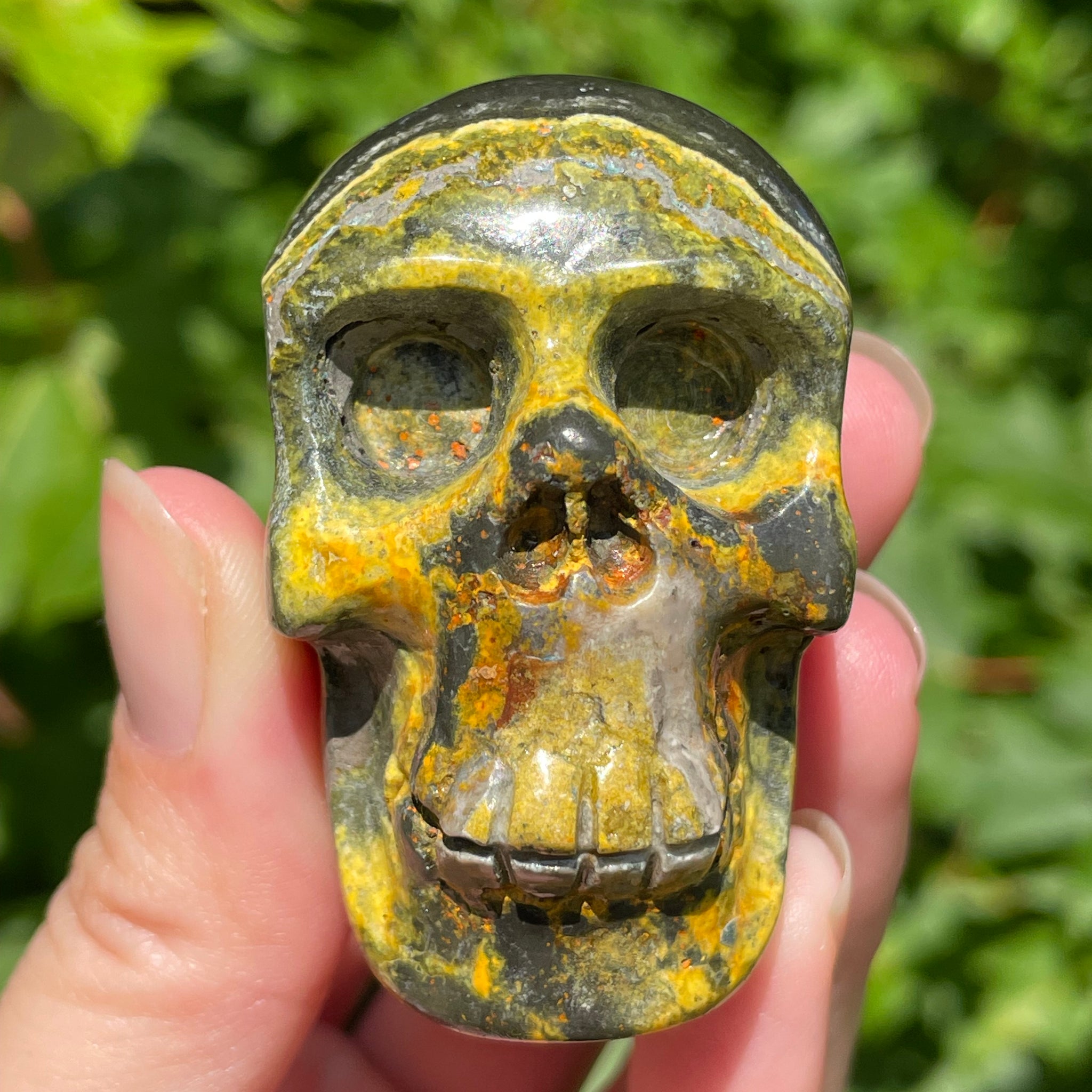 Bumblebee Jasper Skull