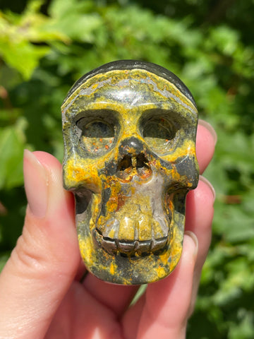 Bumblebee Jasper Skull