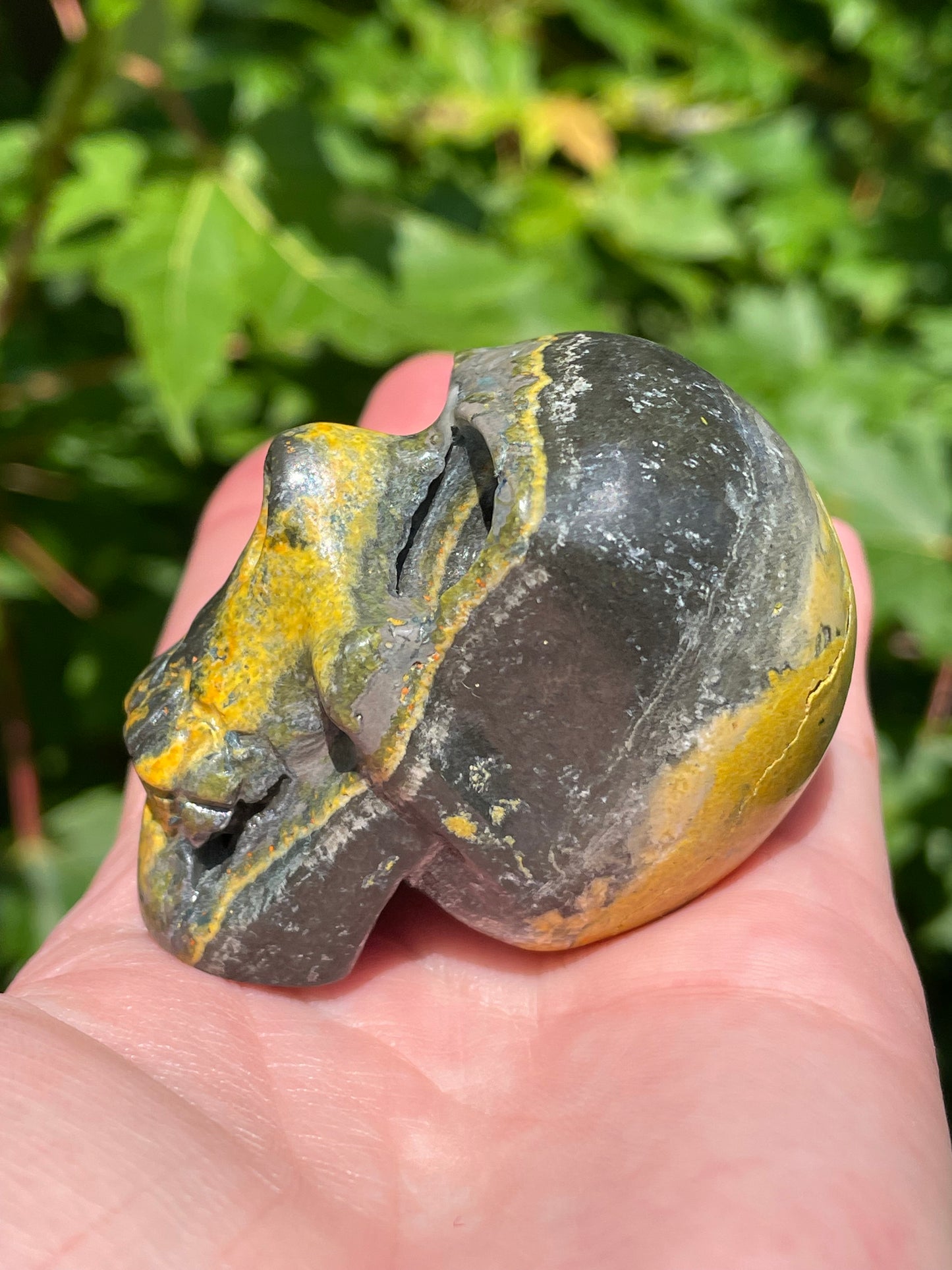 Bumblebee Jasper Skull