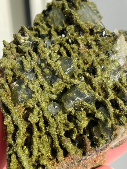 Green Forest Epidote Quartz