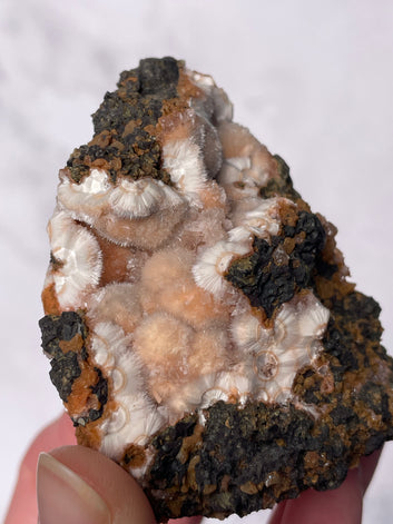 Orange Thomsonite