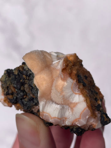 Orange Thomsonite