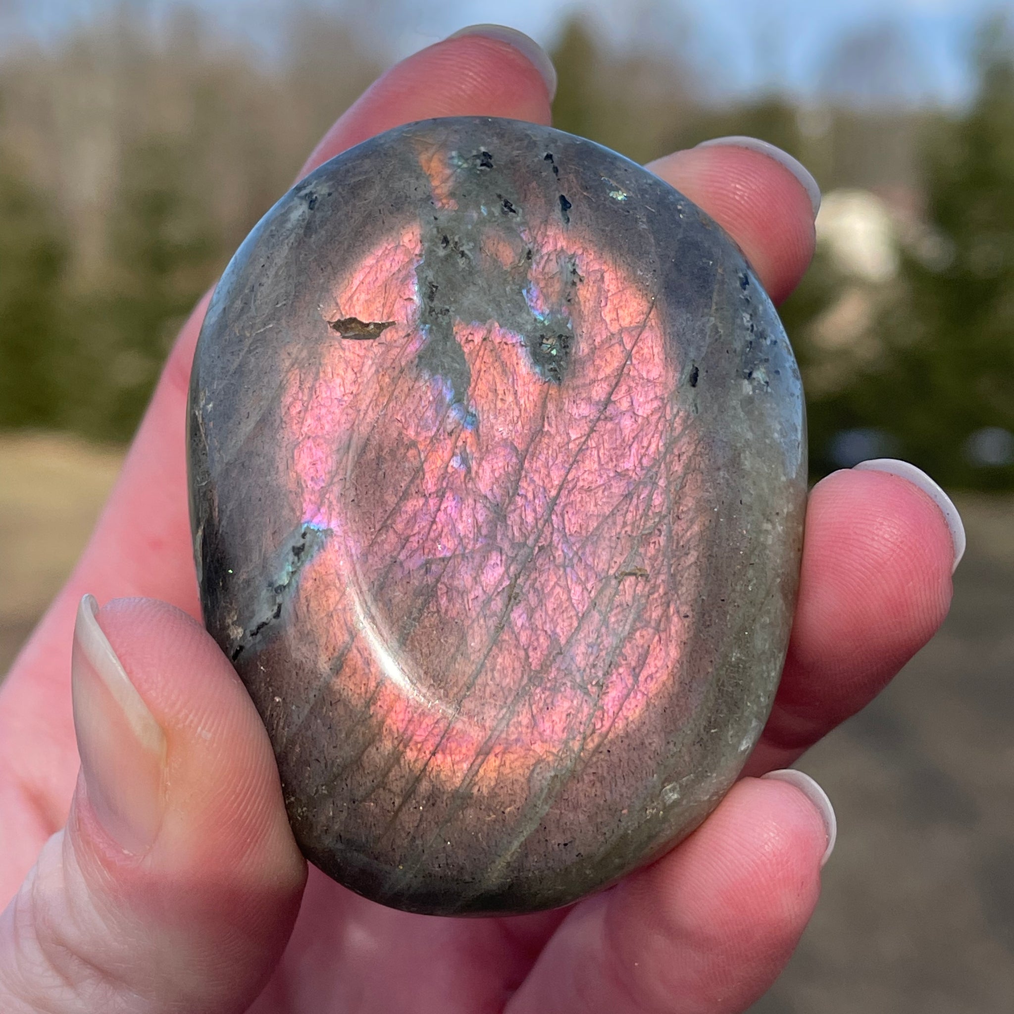 Labradorite Palm Stone