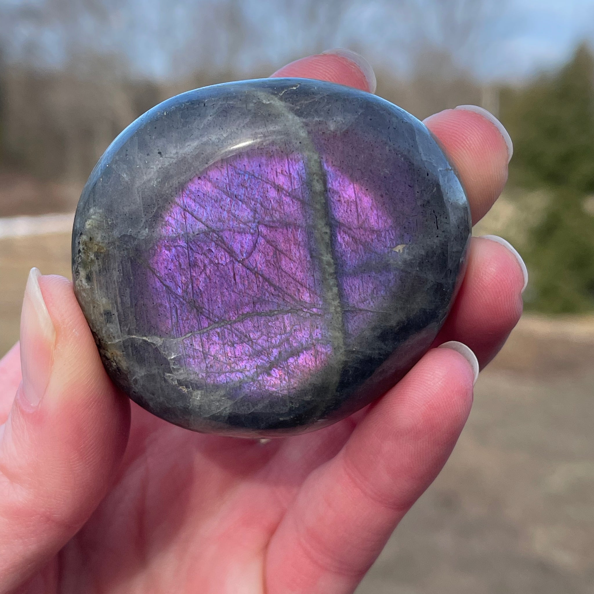 Labradorite Palm Stone