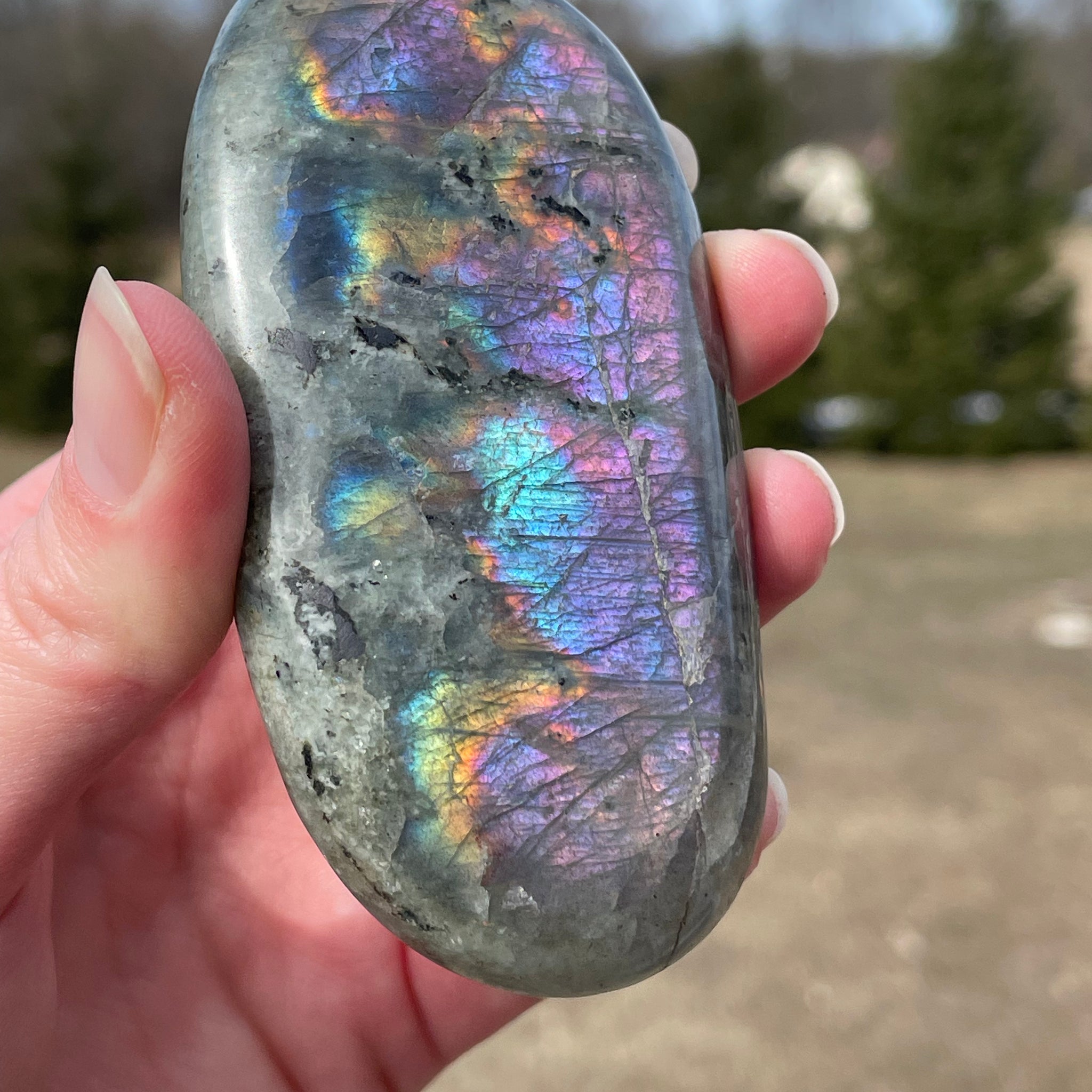Labradorite Palm Stone
