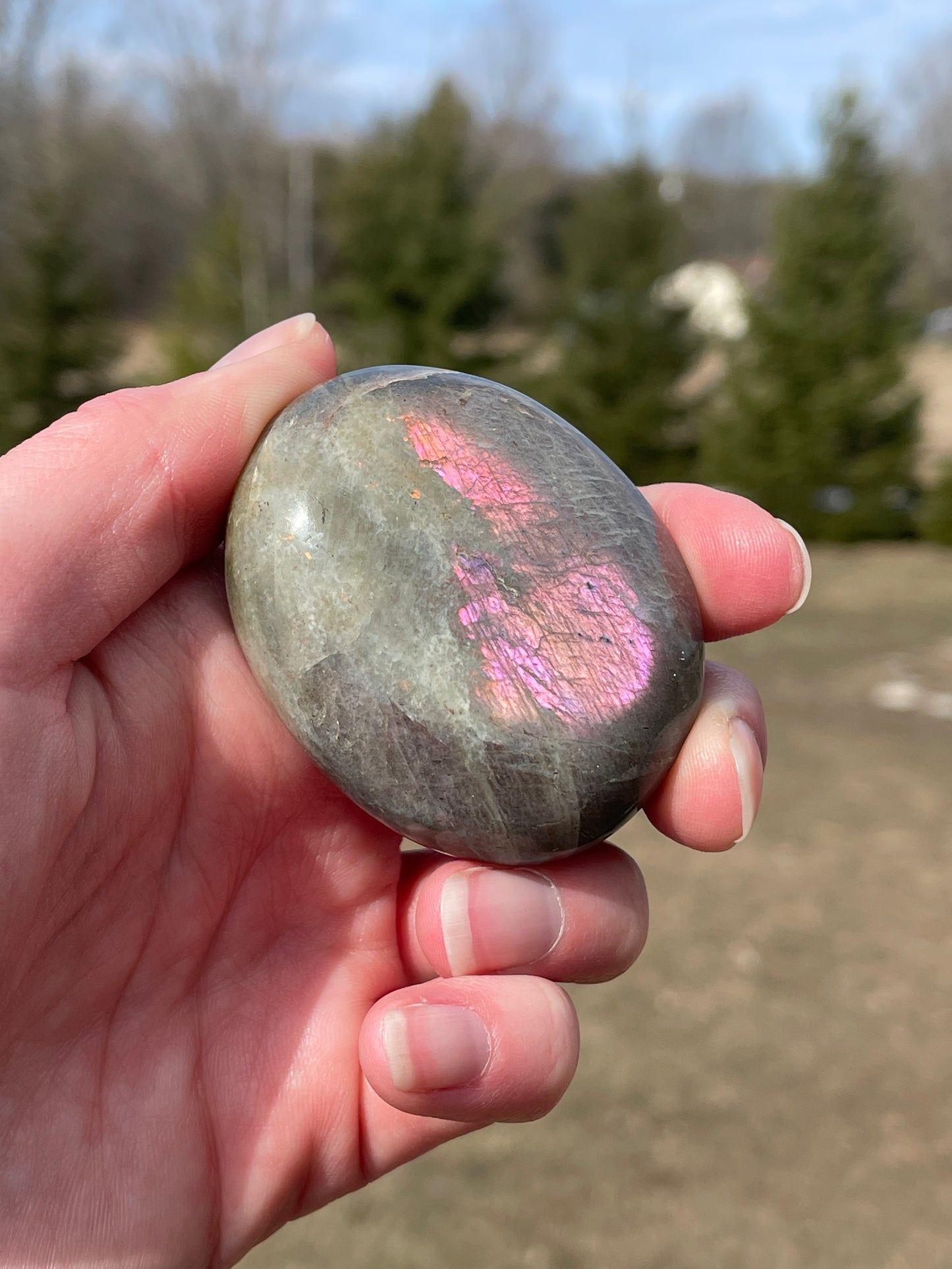 Labradorite Palm Stone