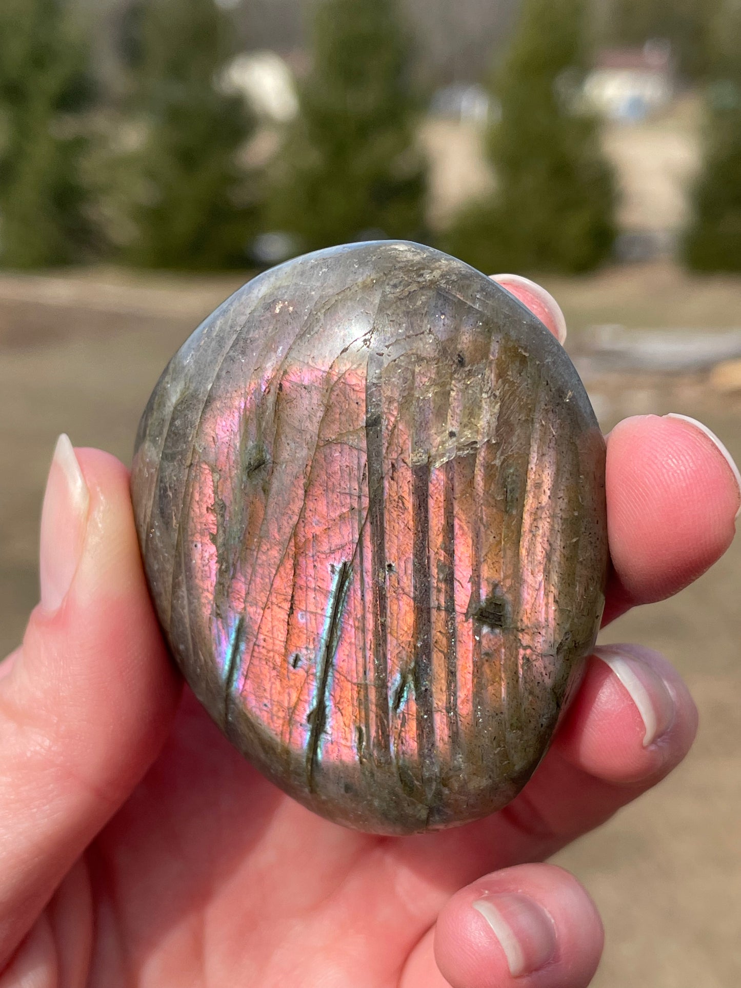 Labradorite Palm Stone