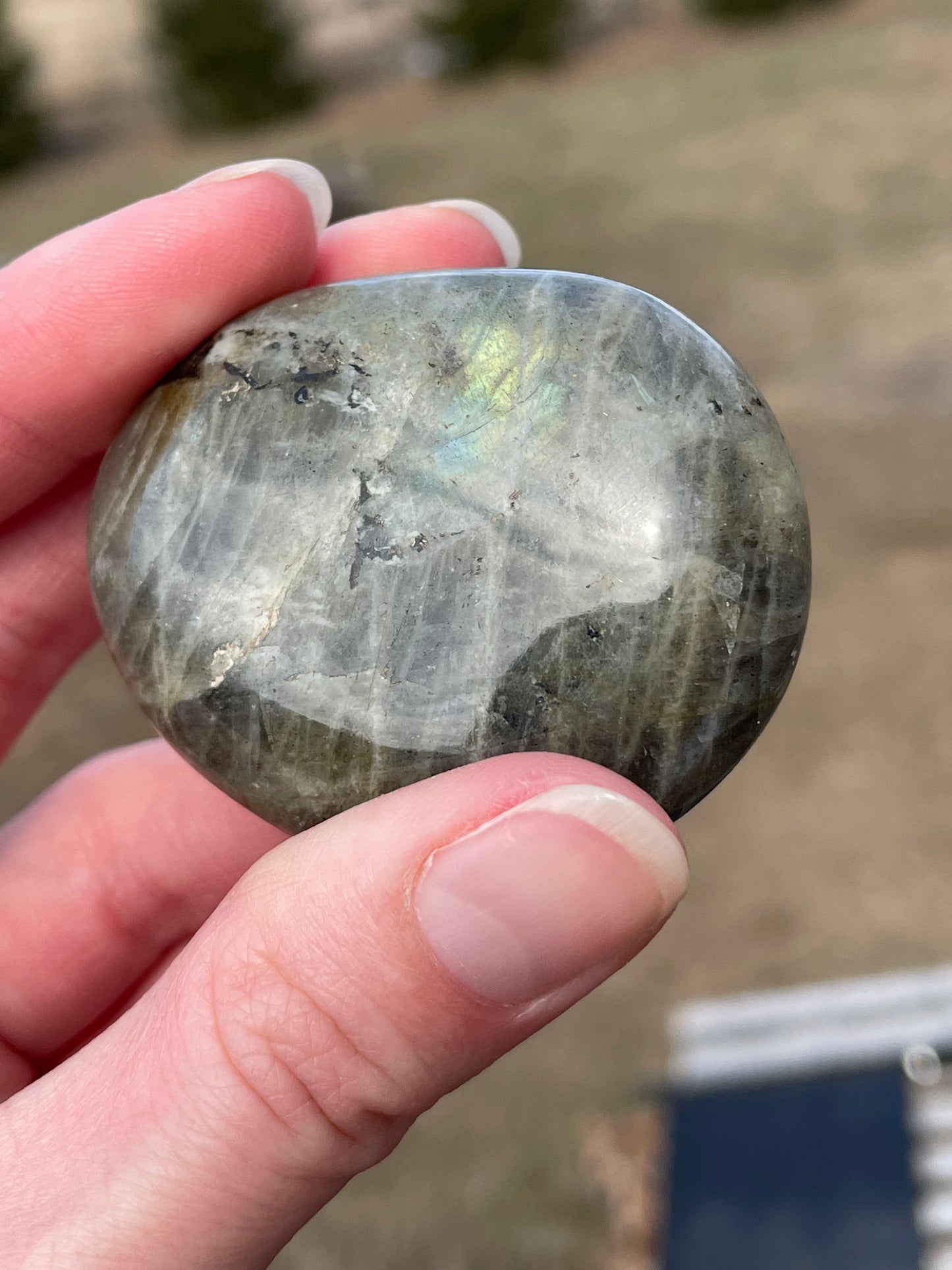 Labradorite Palm Stone