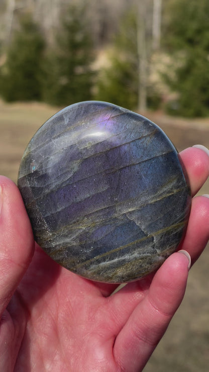 Labradorite Palm Stone
