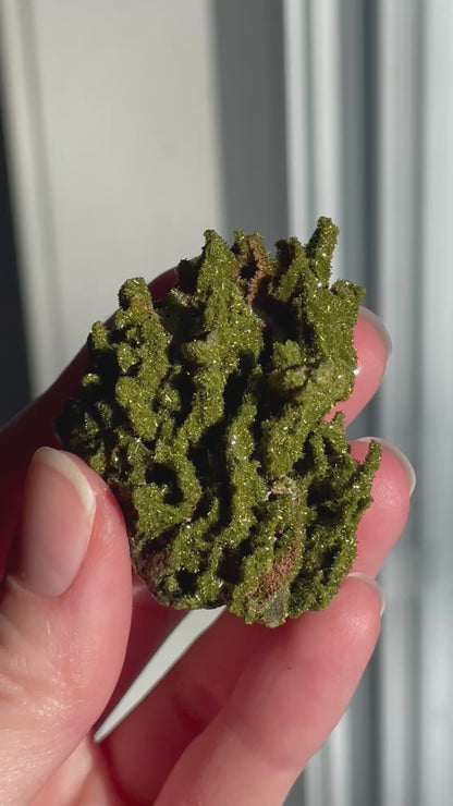 Green Forest Epidote Quartz