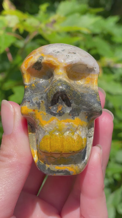 Bumblebee Jasper Skull
