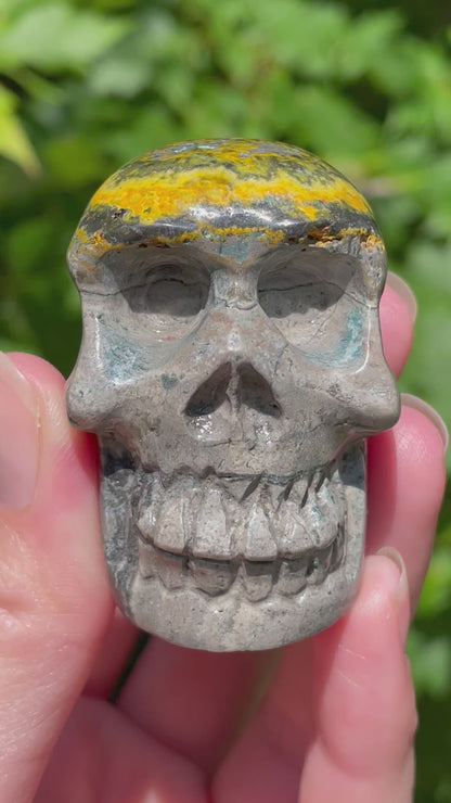 Bumblebee Jasper Skull