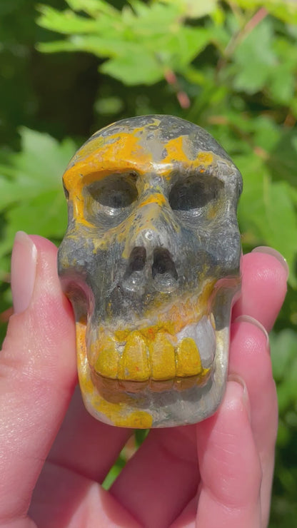 Bumblebee Jasper Skull