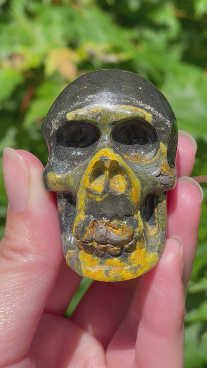 Bumblebee Jasper Skull