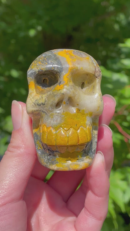 Bumblebee Jasper Skull