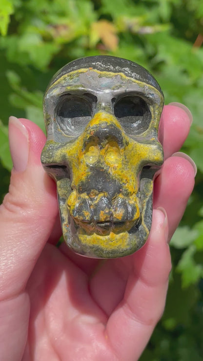 Bumblebee Jasper Skull