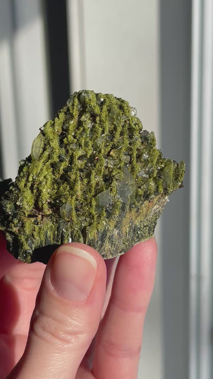 Green Forest Epidote Quartz