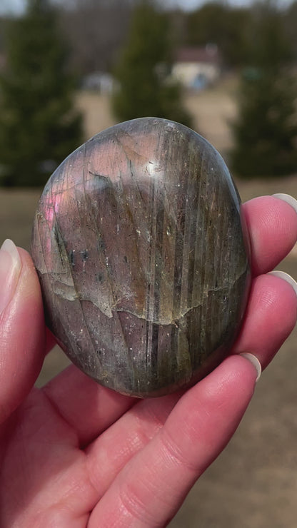 Labradorite Palm Stone